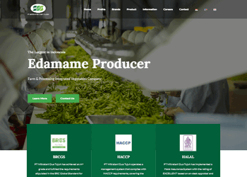 Portfolio Web Desain